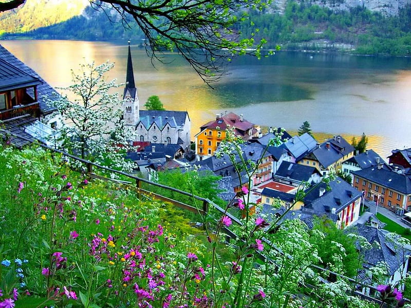 Lovely view, shore, riverbank, grass, mirrored, mountain, nice, calm, village, flowers, reflection, lovely, houses, town, roofs, greenery, water, glow, cottages, shine, bonito, europe, green, river, cabins, hallstatt, view, sunlight, lake, austria, summer, nature, branches, villas, HD wallpaper