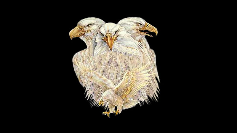 Three Eagle Heads, gold, eagle, black, eagle heads, birds animals, HD wallpaper