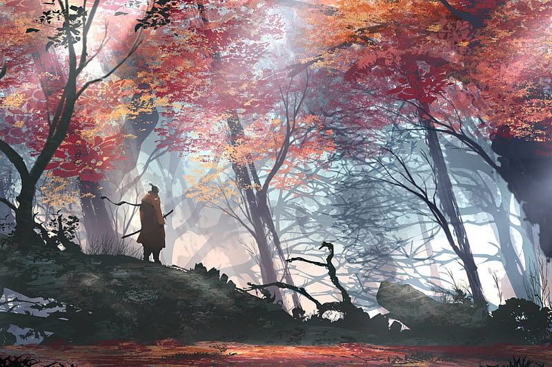 Anime Man, Samurai, Autumn, Scenic, Forest, Sword, Trees for Chromebook Pixel, Samurai Cherry Blossom, HD wallpaper