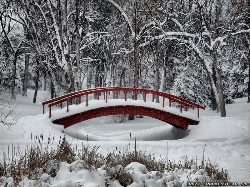 Winter Wonderland, winter scene, winter bridge, winter forest, HD wallpaper