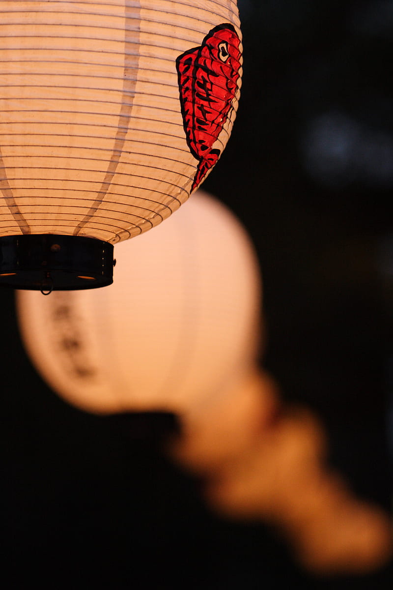 chinese lantern, garland, light, decor, HD phone wallpaper