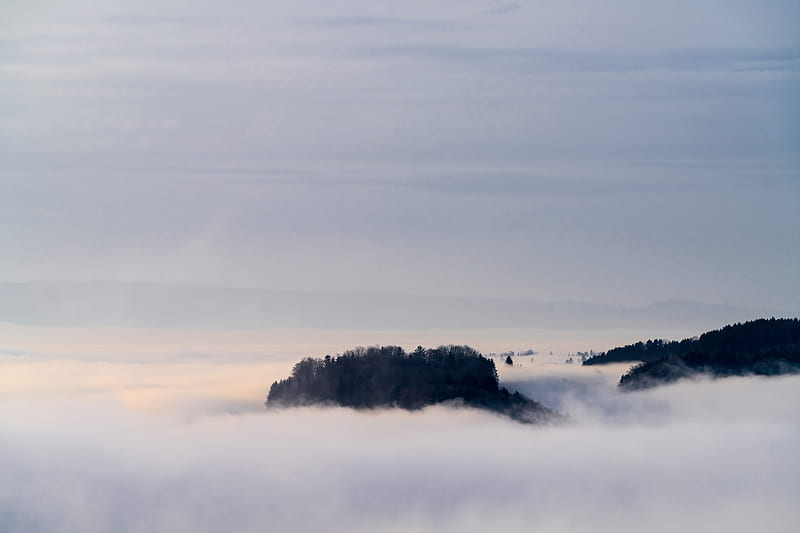 bird flying over the clouds, HD wallpaper