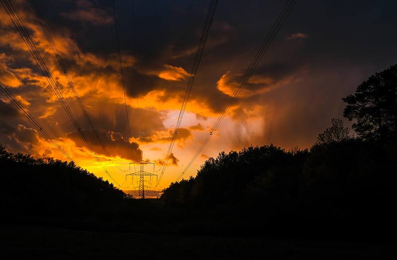 sunset, trees, wires, clouds, HD wallpaper