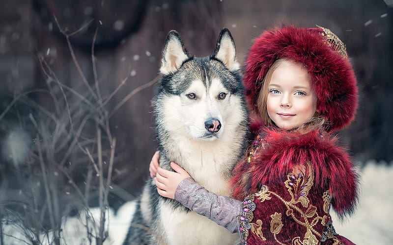 Friends, little, yaroslav gromov, iarna, winter, hat, girl, copil, child, white, pink, husky, dog, fur, HD wallpaper