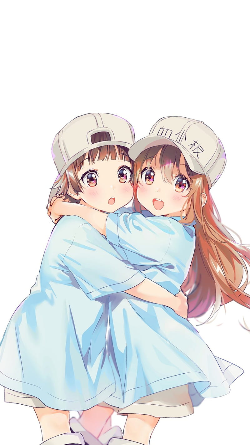 Hataraku Kesshouban-chan (Cells at Work: Platelets!)