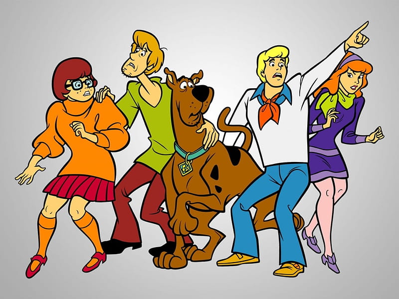 Scooby Doo, Fred, Scooby, Daphne, Shaggy, And, Velma, HD wallpaper