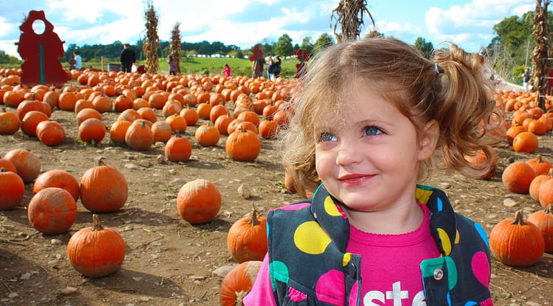 *** Girl in a field of pumpkins ***, dynie, male, ludzie, dzieci, HD wallpaper