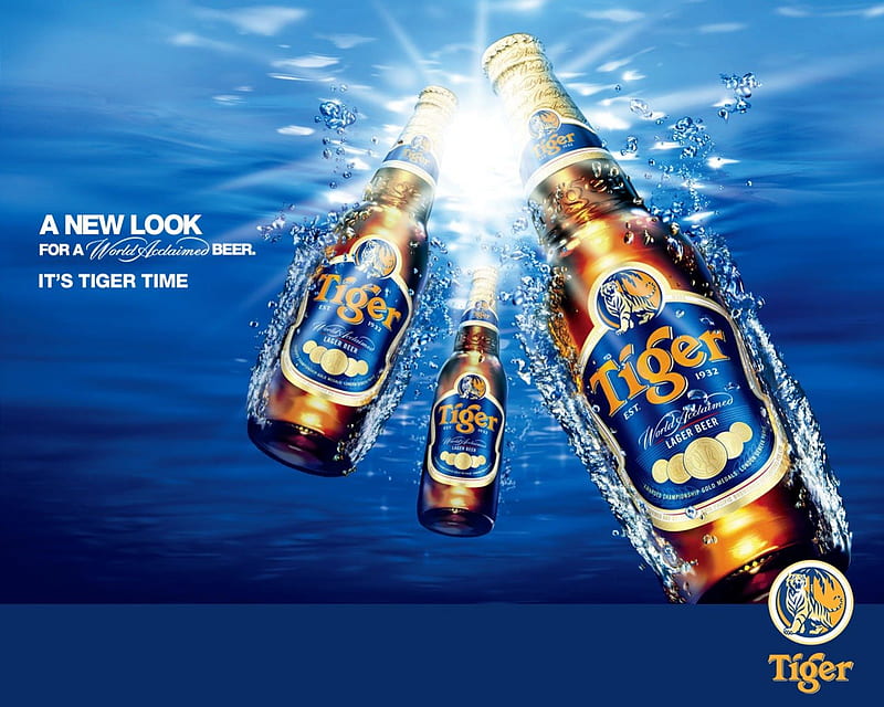 60 4K Beer Wallpapers  Background Images