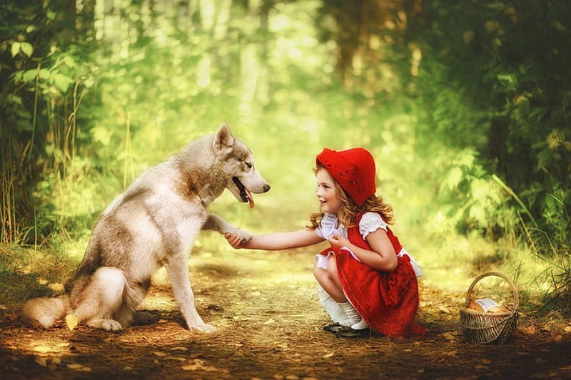 Best Friend, forest, red, girl, dog, HD wallpaper | Peakpx