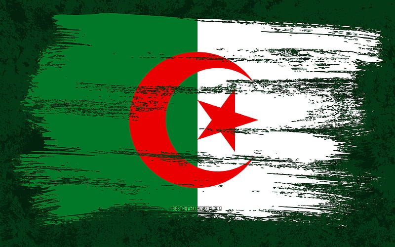 Flag of Algeria, grunge flags, African countries, national symbols, brush stroke, Algerian flag, grunge art, Algeria flag, Africa, Algeria, HD wallpaper