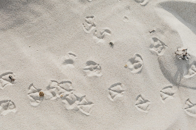 Footprints on White Sand, HD wallpaper