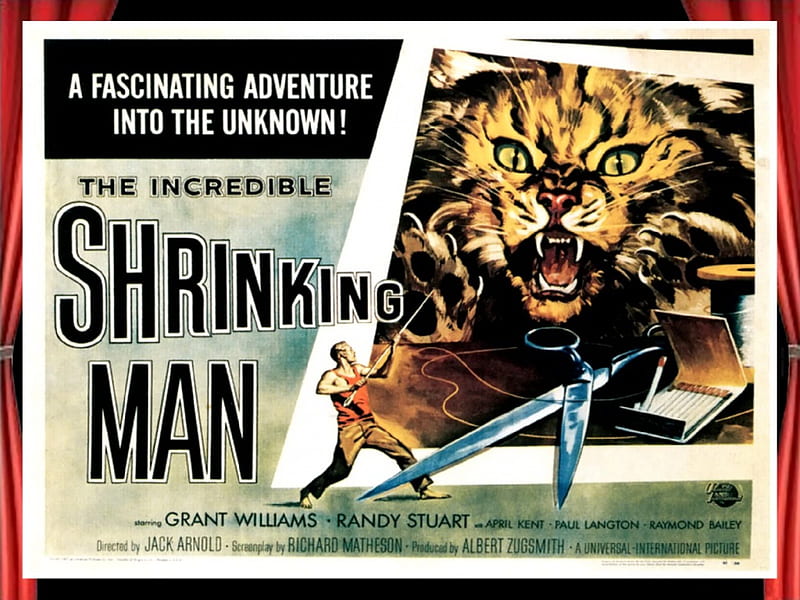 The incredible shrinking man01, posters, horror, The incredible shrinking man, classic movies, HD wallpaper