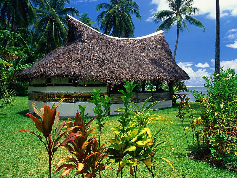 Thatched Bungalow Moorea Island, house, grass, island, blue sky, trees, HD wallpaper