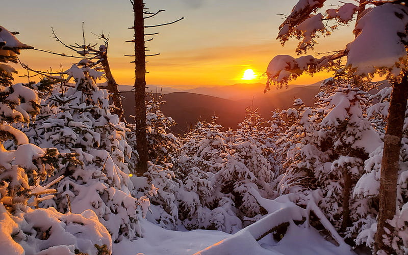 Sunrise hike, New Hampshire, colors, sky, trees, snow, usa, HD wallpaper