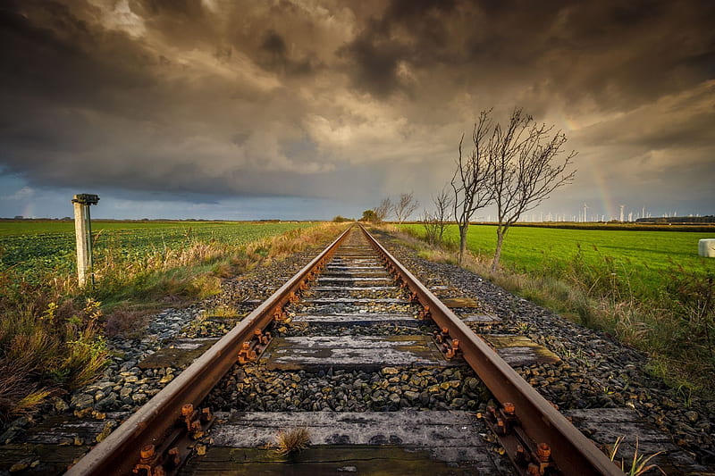 railroad tracks, gloomy day, field, trees, HD wallpaper