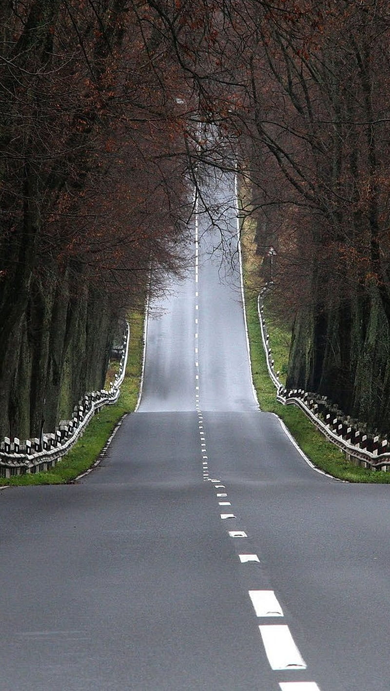 Road , beauty, nature, road, HD phone wallpaper