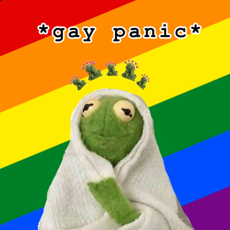 Gay kirmit ipad, gaykirmit, HD phone wallpaper