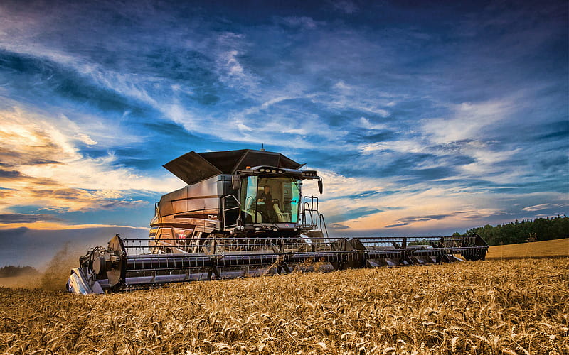 Massey Ferguson Ideal 9T, R, wheat harvesting, 2019 combines, combine, Massey Ferguson, combine-harvester, agricultural machinery, HD wallpaper