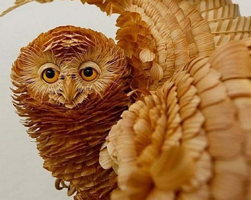 OWL MADE FROM WOOD CHIPS, WOOD, CHIPS, OWL, ABSTRACT, HD wallpaper