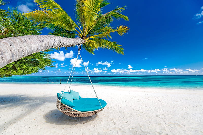 Summer vacation, rest, vacation, romantic, relax, honeymoon, ocean, palm,  bonito, HD wallpaper | Peakpx