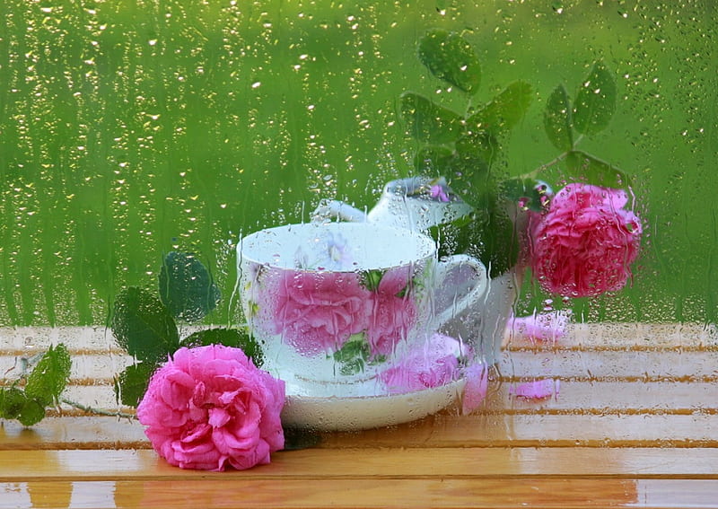 Still Life, raindrops, flowers, blossoms, cup, roses, porcelain, HD wallpaper