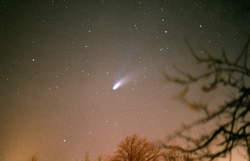 Night sky and Hale-Bopp., from my back garden, comet, HD wallpaper