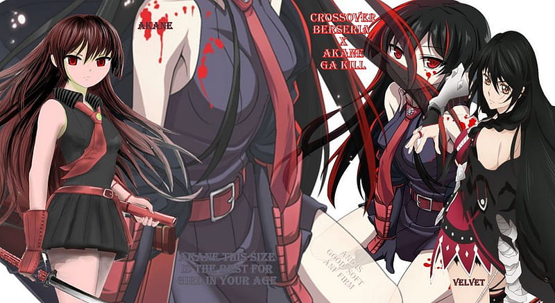 7 Anime Like Akame ga Kill 2014  ReelRundown