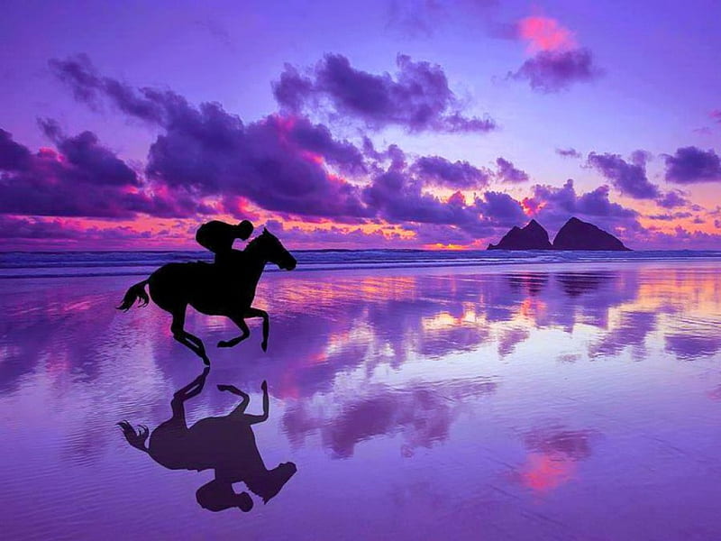 Galloping reflections, evening, gallop, horse, clouds, sky, pink, blue, HD wallpaper