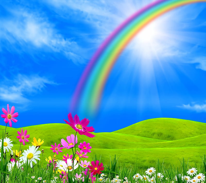 Rainbow, flowers, meadow, spring, sunshine, HD wallpaper