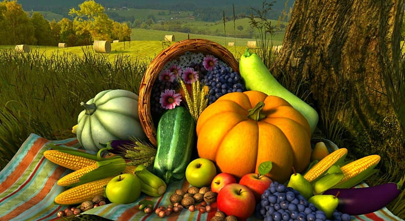 Autumn Harvest, Fall, hazelnuts, grass, wheat, grapes, fruit, Thanksgiving, flowers, fields, corn, hills, walnuts, apples, hay, trees, squash, nuts, pears, basket, Autumn, vegetables, Zucchini, pumpkins, HD wallpaper