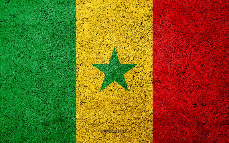 Flag of Senegal, concrete texture, stone background, Senegal flag, Africa, Senegal, flags on stone, HD wallpaper