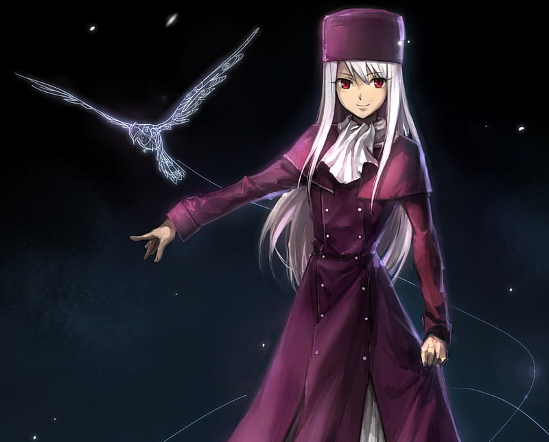 Illyasviel von Einzbern - wide 8