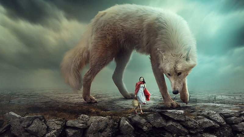 Red Riding Hood and the big bad wolf, creative, rafy-a, red riding hood, fantasy, girl, rafy a, lup, wolf, white, HD wallpaper