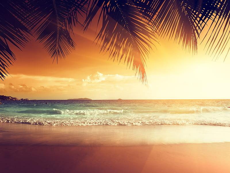 Landscape Beach Tropical Sun, landscape, tropical, beach, sun, artist, artwork, digital-art, nature, HD wallpaper