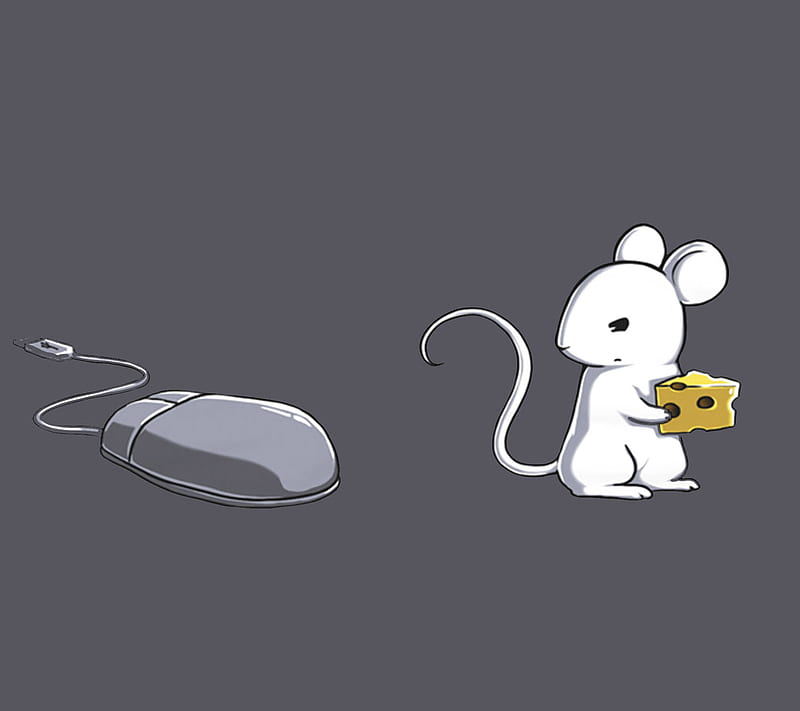 Mouse, confusion, HD wallpaper