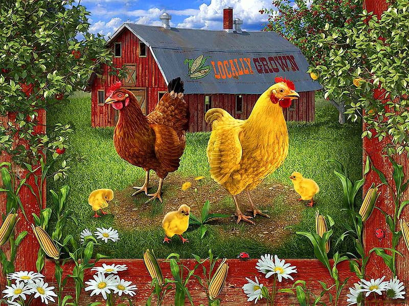 Locally Grown, barn, corn, hen, rooster, chicken, painting, flowers, HD wallpaper