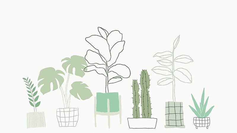 Vector. Simple green houseplant vector doodle, Simple Plant Aesthetic, HD wallpaper
