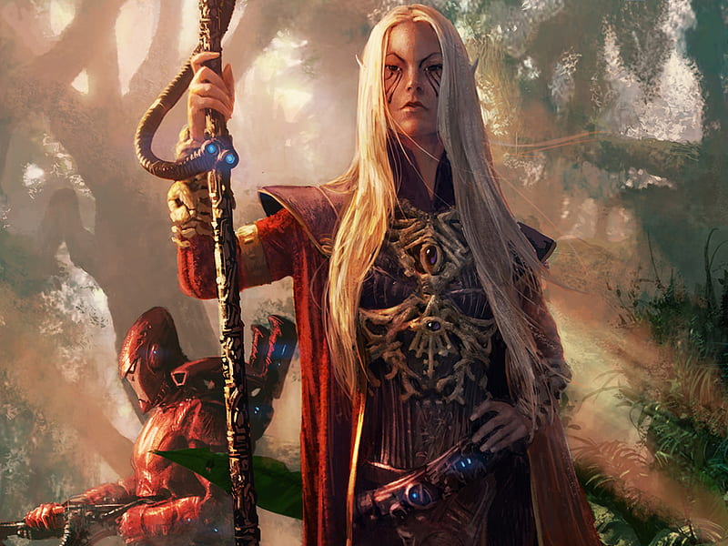 Warhammer Elder Farseer jpg, proud, fantasy, warroior, knife, HD wallpaper
