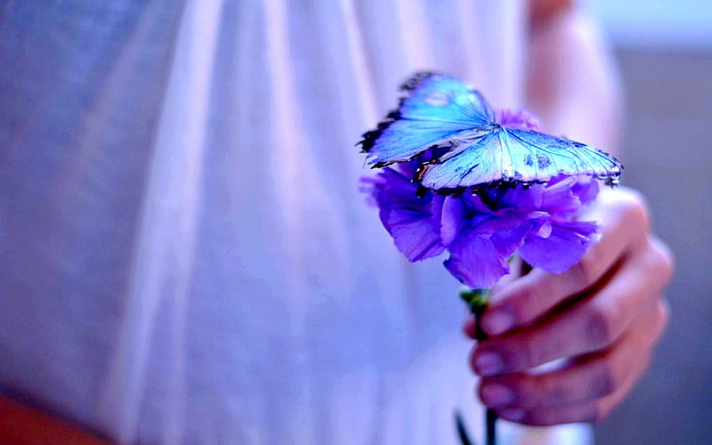 Mariposa, , bonito, niña, mano morada, flor, flores, Fondo de pantalla HD |  Peakpx