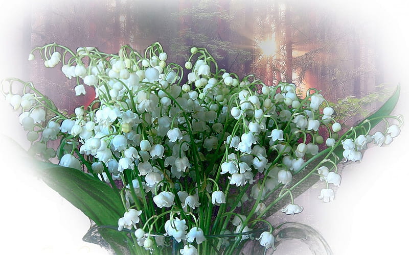 Lily of the Valley, leaves, bouquet, flowers, blossoms, artwork, HD ...