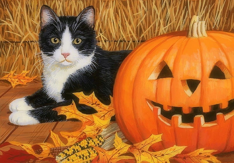 Cat & Pumpkin, fall season, autumn, corns, harvest, halloween, colors, love four seasons, cat, straw, leaves, paintings, pumpkin, animals, HD wallpaper