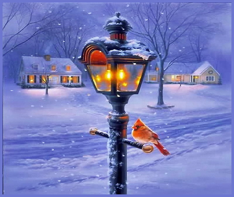 Christmas street, street light, snow, lit windows, homes, trees, street, winter, cardinal, HD wallpaper