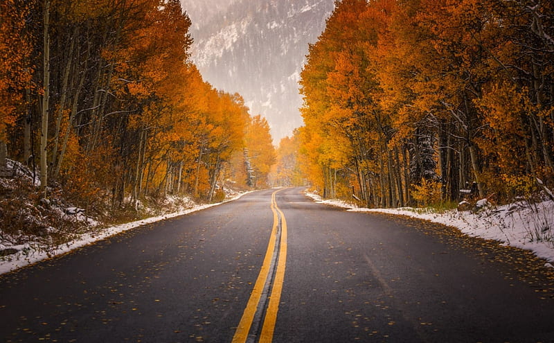 Midway, tree, autumn, road, mountains, HD wallpaper