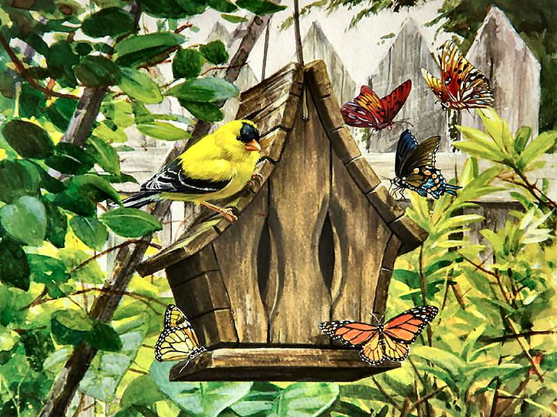 Butterfly Bed and Breakfast - Bird FCmp, art, bonito, butterflies, illustration, artwork, animal, bird, avian, painting, birdhouse, wide screen, wildlife, goldfinch, HD wallpaper