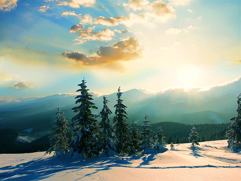 Winter, tree, nature, sky, landscape, HD wallpaper | Peakpx