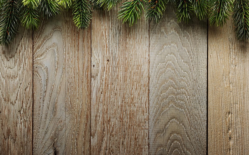 wooden texture, light boards, Christmas tree, tree branches, wood, HD wallpaper