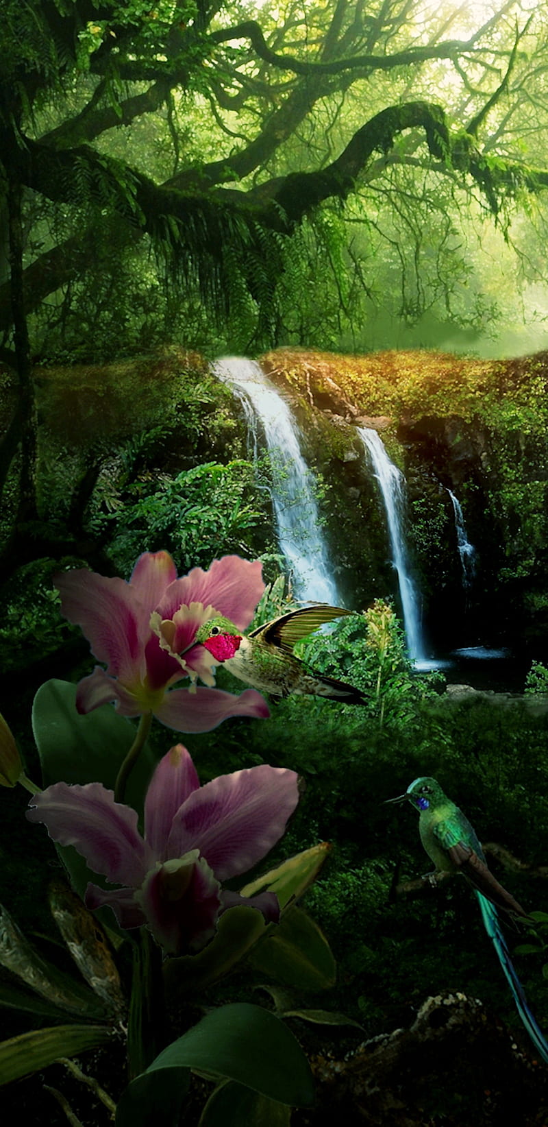 Paradise Wildlife, birds, flower, forest, paradise, pretty, waterfall beautiful, wildlife, HD phone wallpaper