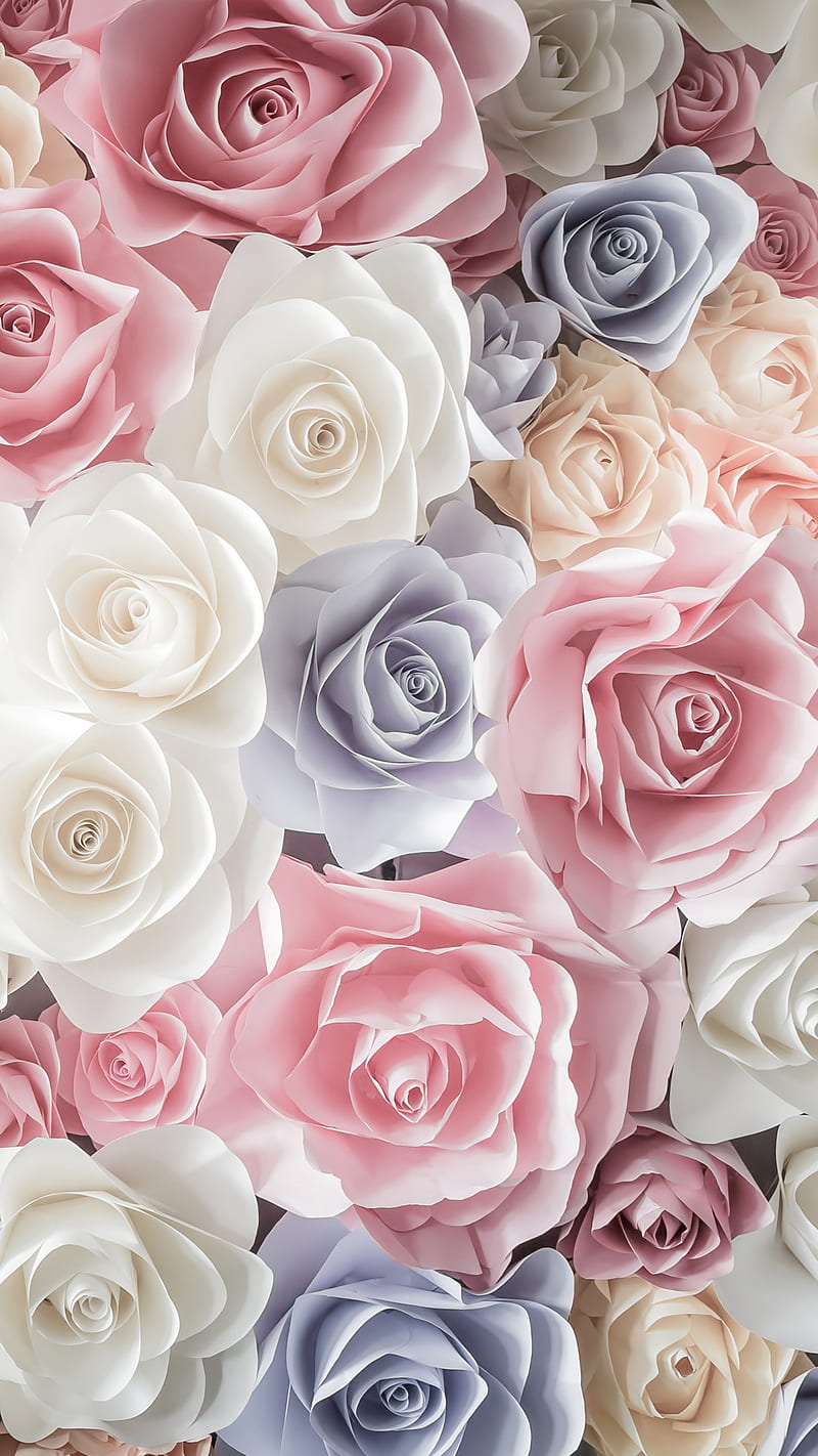 Pastel Roses , flower, rose, blue, pink, white, HD phone wallpaper
