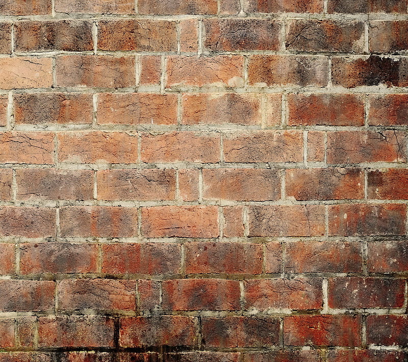 Old Brick Wall, brick wall, old, HD wallpaper