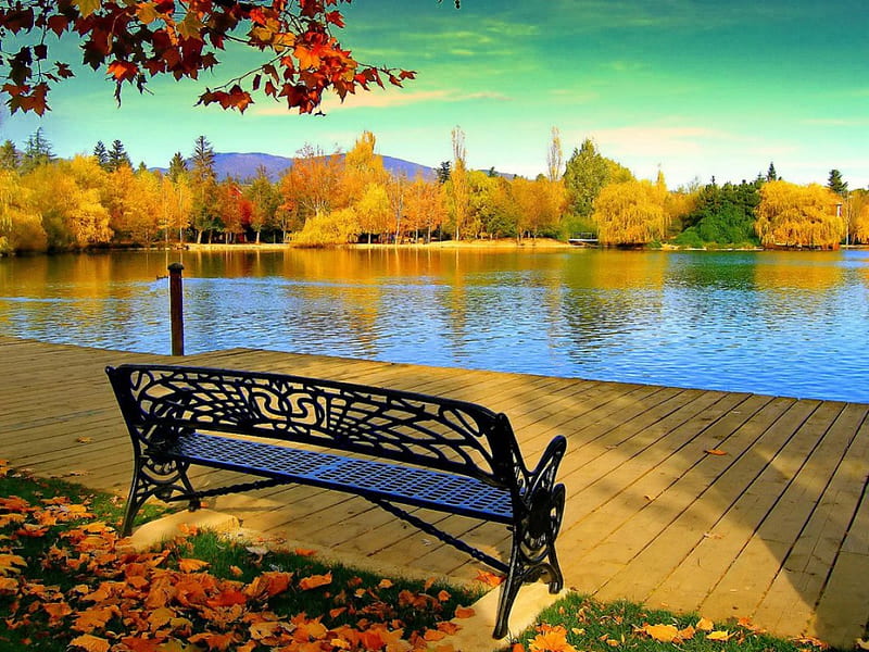 A peaceful spot, pretty, shore, riverbank, sun, falling, clouds, foliage, mirrored, afternoon, nice, season, morning, rest, lovely, seat, relax, sky, trees, lake shore, water, rays, crystal, fall, colorful, autumn, glow, shine, bonito, leaves, river, light, amazing, calmness, romantic, clear, pier, sunlight, bench, pond, spot, peaceful, nature, walk, branches, reflections, HD wallpaper